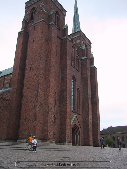 134-3464_IMG.JPG
