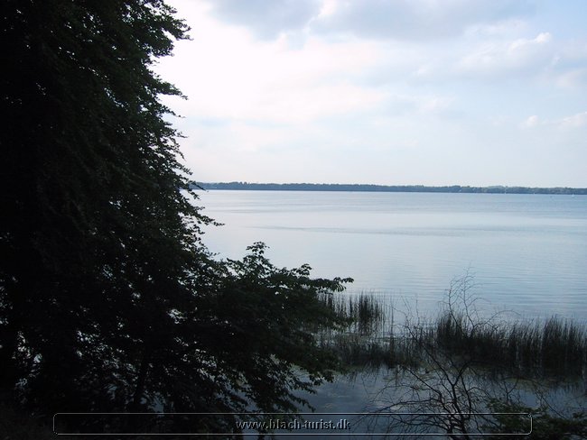 137-3798_IMG.JPG