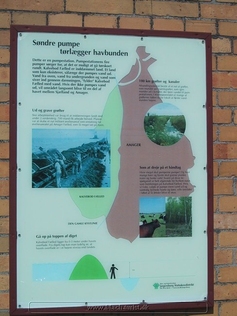 139-3934_IMG.JPG